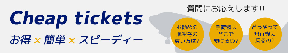 スカイマーク格安航空券